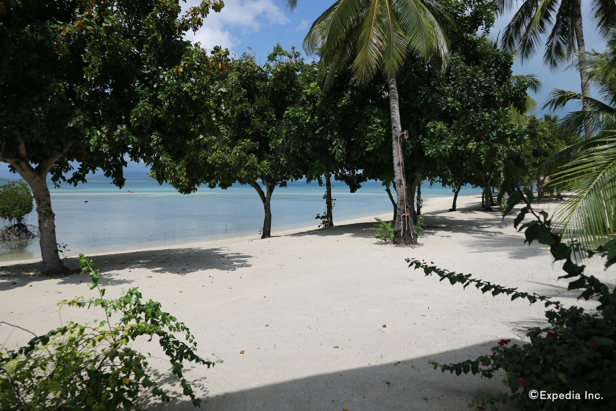 Dos Palmas Island Resort & Spa プエルト・プリンセサ エクステリア 写真